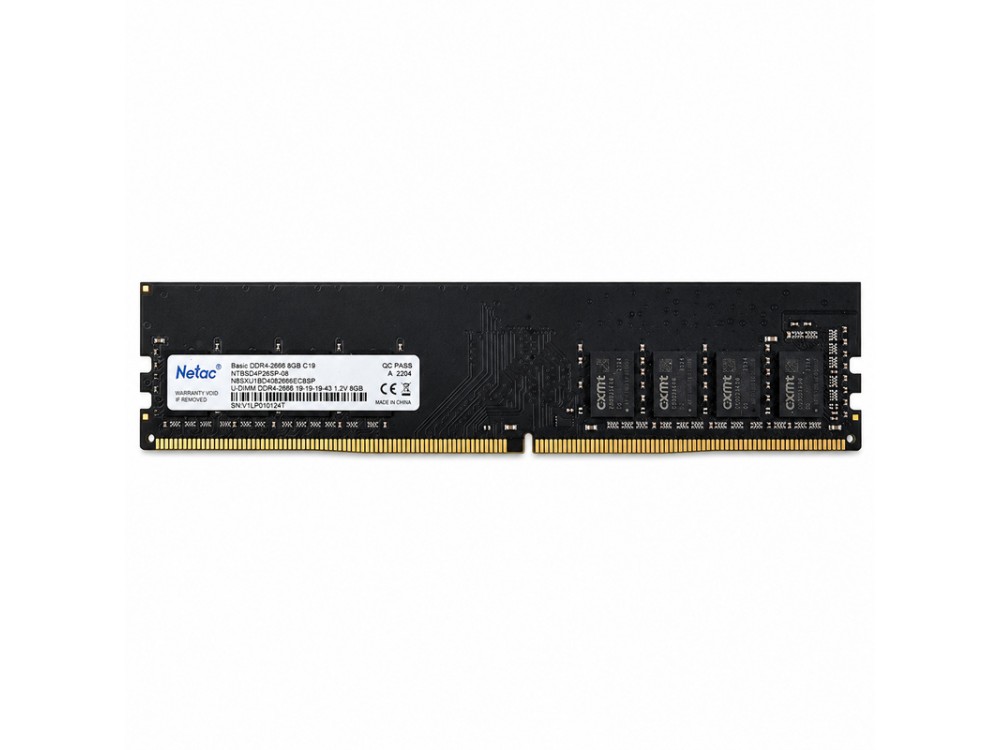 Netac Basic 8GB DDR4 2666MHz PC4-21300 UDIMM Desktop PC RAM NTBSD4P26SP-08